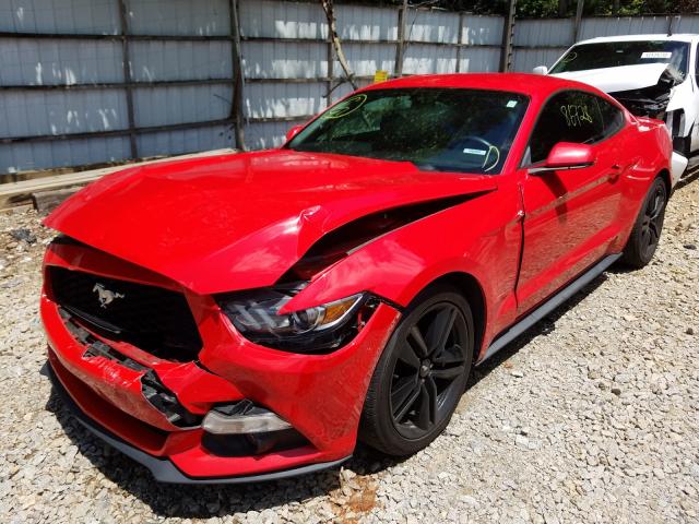 Photo 1 VIN: 1FA6P8TH3F5384167 - FORD MUSTANG 