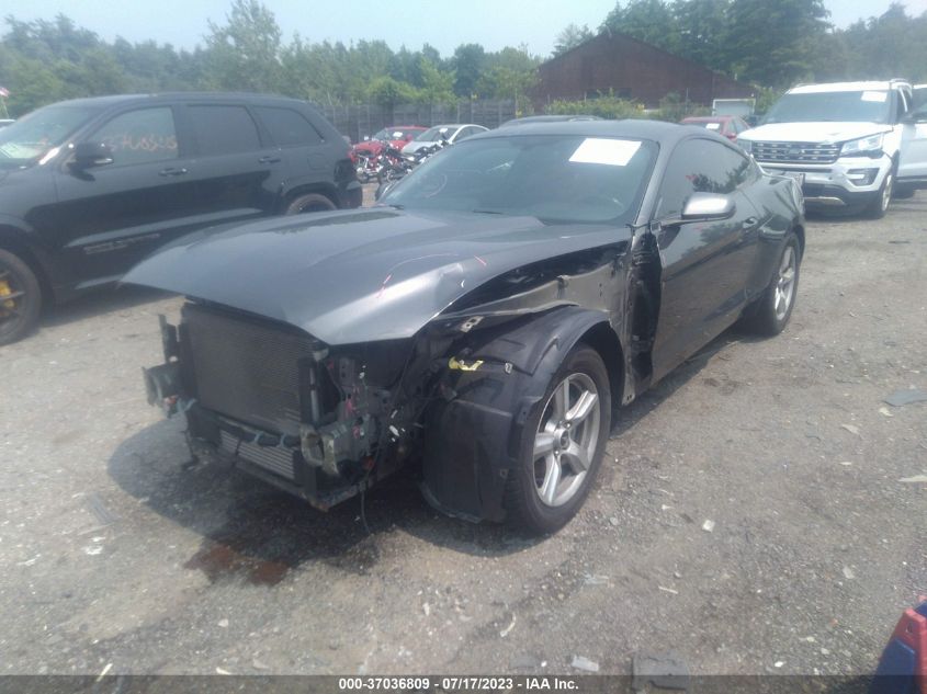 Photo 1 VIN: 1FA6P8TH3F5387683 - FORD MUSTANG 