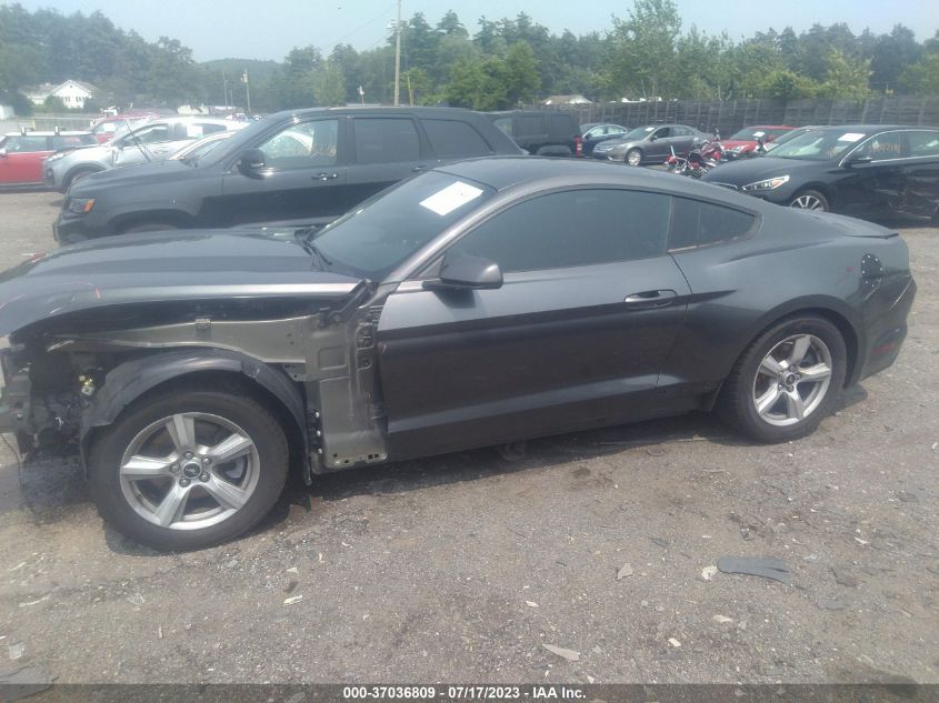 Photo 14 VIN: 1FA6P8TH3F5387683 - FORD MUSTANG 