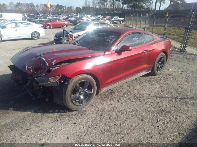 Photo 1 VIN: 1FA6P8TH3F5417118 - FORD MUSTANG 