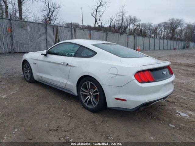 Photo 2 VIN: 1FA6P8TH3F5419791 - FORD MUSTANG 