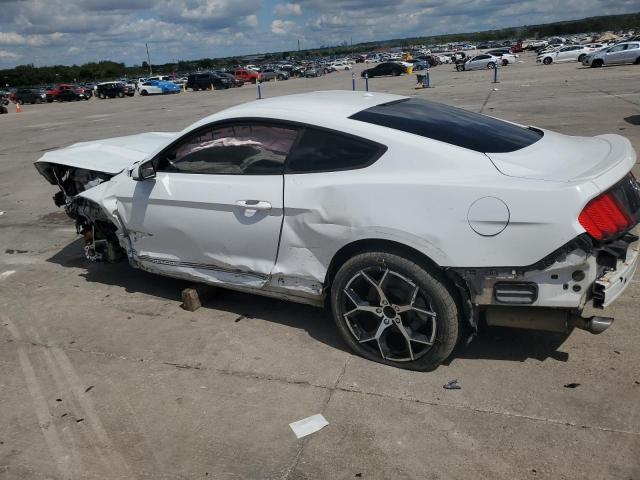 Photo 1 VIN: 1FA6P8TH3G5206244 - FORD MUSTANG 