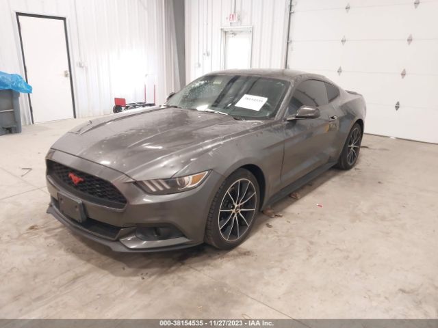 Photo 1 VIN: 1FA6P8TH3G5206342 - FORD MUSTANG 