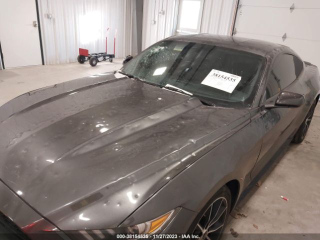 Photo 5 VIN: 1FA6P8TH3G5206342 - FORD MUSTANG 