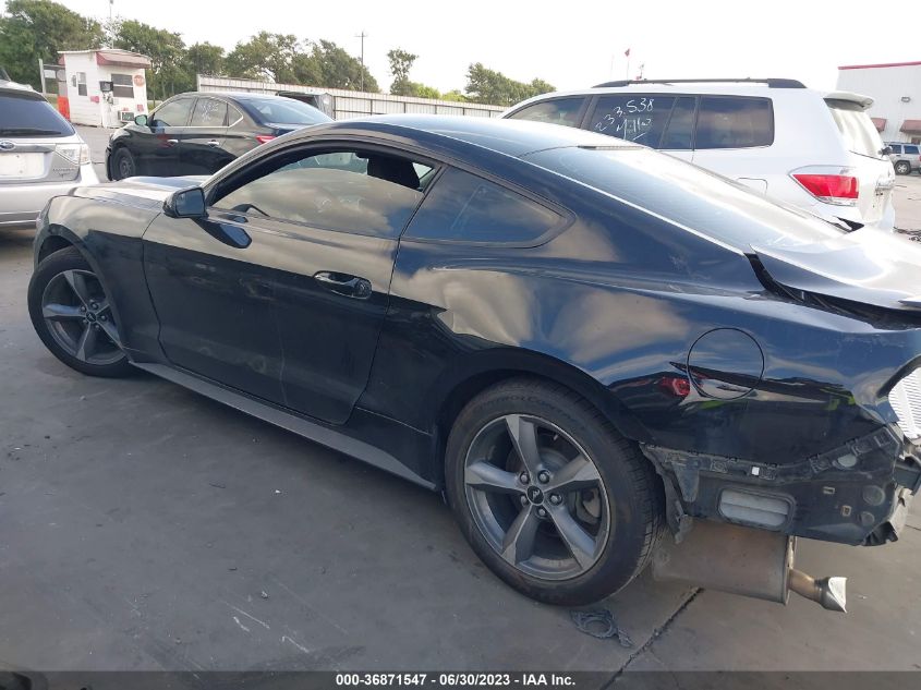 Photo 13 VIN: 1FA6P8TH3G5207801 - FORD MUSTANG 