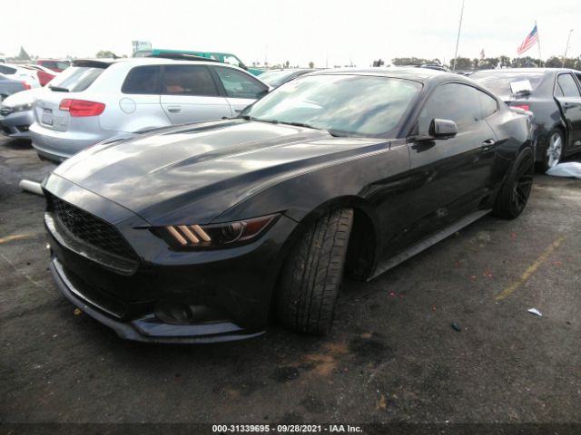 Photo 1 VIN: 1FA6P8TH3G5223108 - FORD MUSTANG 