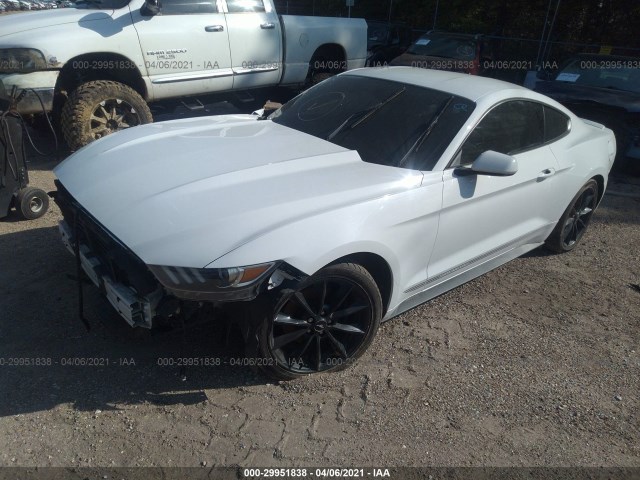 Photo 1 VIN: 1FA6P8TH3G5264614 - FORD MUSTANG 