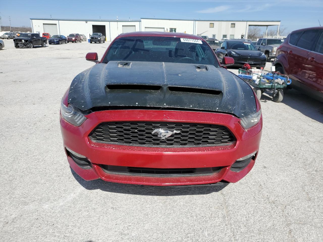 Photo 4 VIN: 1FA6P8TH3G5335584 - FORD MUSTANG 