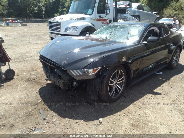 Photo 1 VIN: 1FA6P8TH3H5205435 - FORD MUSTANG 