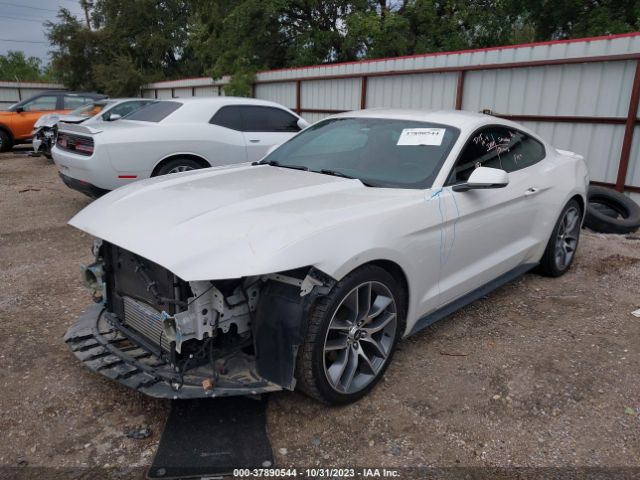 Photo 1 VIN: 1FA6P8TH3H5210392 - FORD MUSTANG 