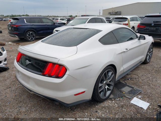 Photo 3 VIN: 1FA6P8TH3H5210392 - FORD MUSTANG 