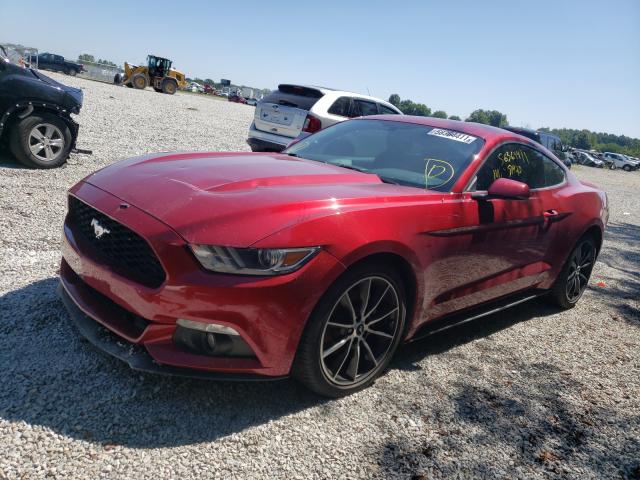 Photo 1 VIN: 1FA6P8TH3H5220890 - FORD MUSTANG 