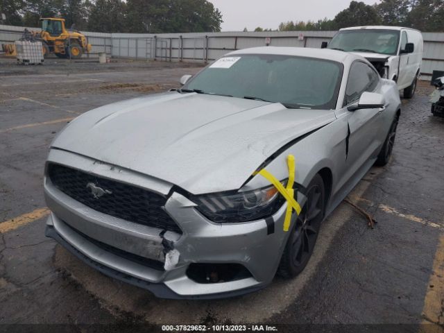 Photo 1 VIN: 1FA6P8TH3H5259012 - FORD MUSTANG 