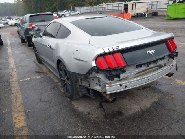 Photo 2 VIN: 1FA6P8TH3H5259012 - FORD MUSTANG 