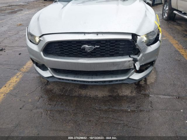 Photo 5 VIN: 1FA6P8TH3H5259012 - FORD MUSTANG 