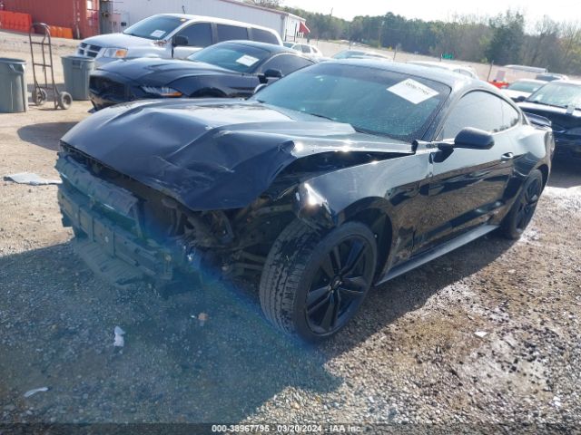 Photo 1 VIN: 1FA6P8TH3H5338938 - FORD MUSTANG 