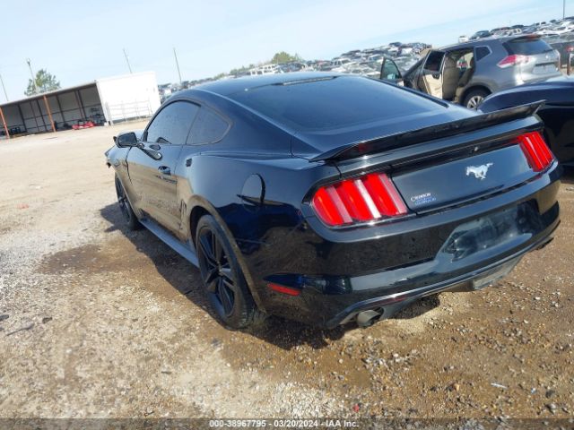 Photo 2 VIN: 1FA6P8TH3H5338938 - FORD MUSTANG 