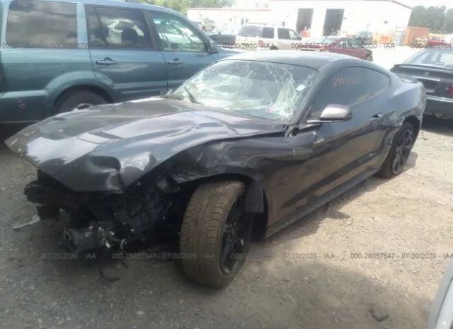 Photo 1 VIN: 1FA6P8TH3J5162575 - FORD MUSTANG 