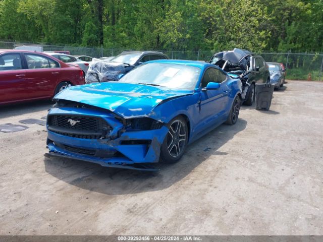 Photo 1 VIN: 1FA6P8TH3K5124880 - FORD MUSTANG 