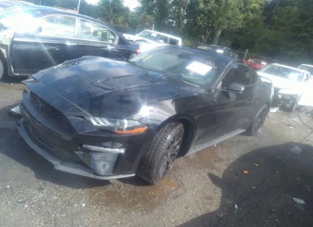 Photo 1 VIN: 1FA6P8TH3K5142165 - FORD MUSTANG 