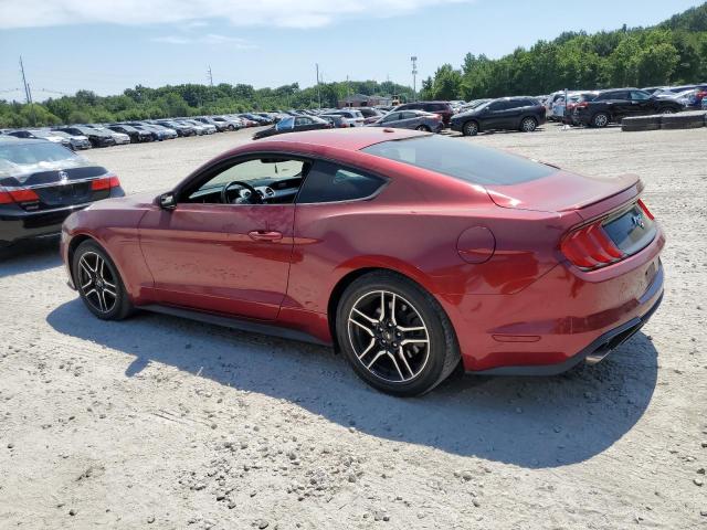 Photo 1 VIN: 1FA6P8TH3K5146751 - FORD MUSTANG 