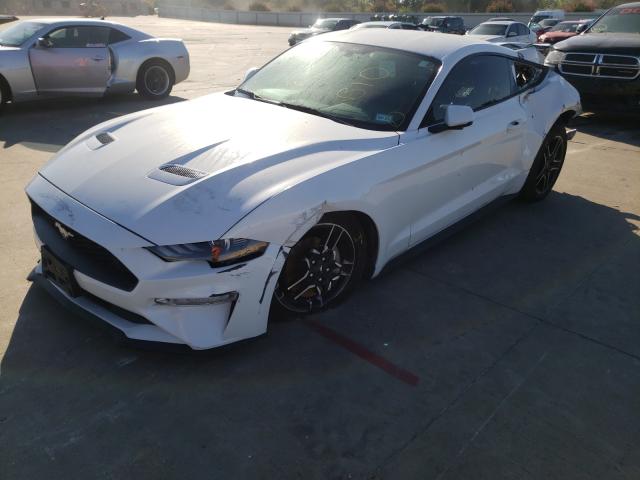 Photo 1 VIN: 1FA6P8TH3K5151819 - FORD MUSTANG 