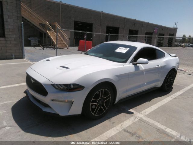 Photo 1 VIN: 1FA6P8TH3K5169589 - FORD MUSTANG 