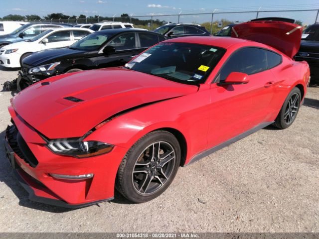 Photo 1 VIN: 1FA6P8TH3K5175196 - FORD MUSTANG 