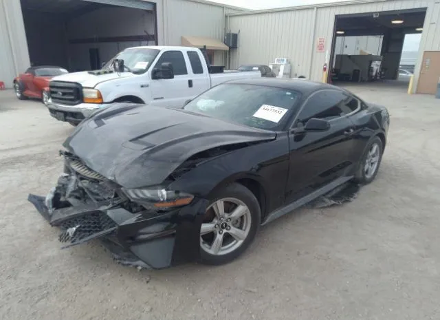 Photo 1 VIN: 1FA6P8TH3K5181080 - FORD MUSTANG 