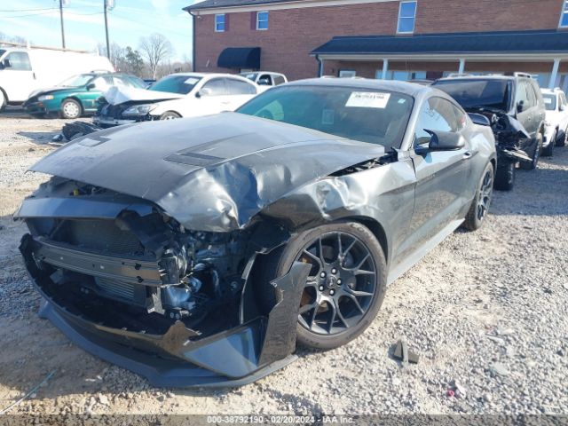 Photo 1 VIN: 1FA6P8TH3K5203885 - FORD MUSTANG 