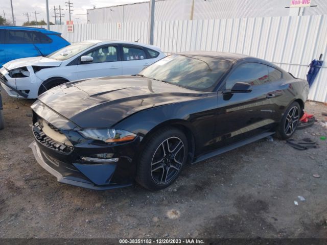 Photo 1 VIN: 1FA6P8TH3L5108597 - FORD MUSTANG 