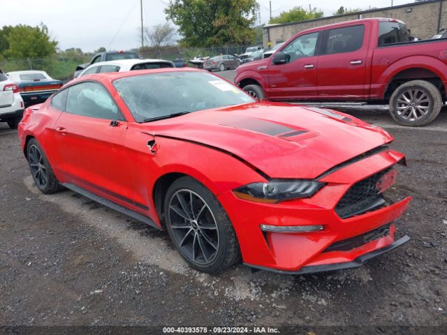 Photo 0 VIN: 1FA6P8TH3L5126436 - FORD MUSTANG 