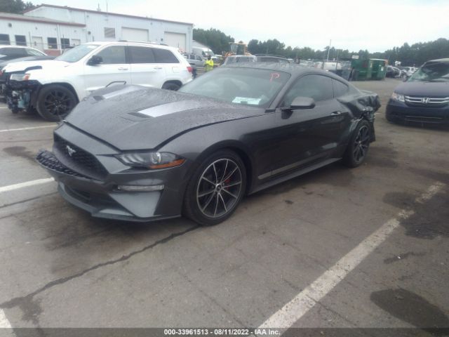 Photo 1 VIN: 1FA6P8TH3L5177662 - FORD MUSTANG 