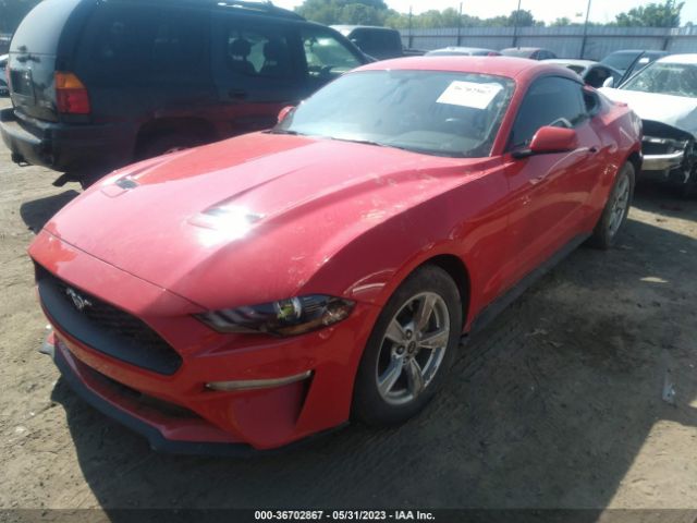 Photo 1 VIN: 1FA6P8TH3L5182537 - FORD MUSTANG 