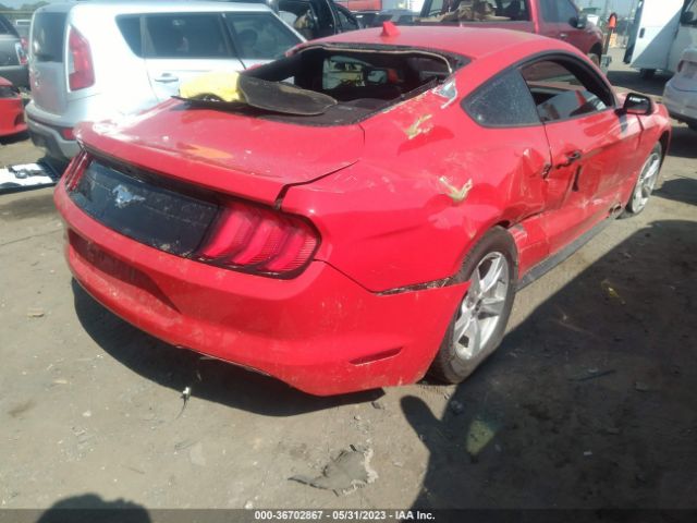 Photo 3 VIN: 1FA6P8TH3L5182537 - FORD MUSTANG 