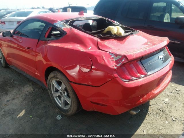 Photo 5 VIN: 1FA6P8TH3L5182537 - FORD MUSTANG 