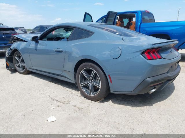 Photo 2 VIN: 1FA6P8TH3R5109810 - FORD MUSTANG 