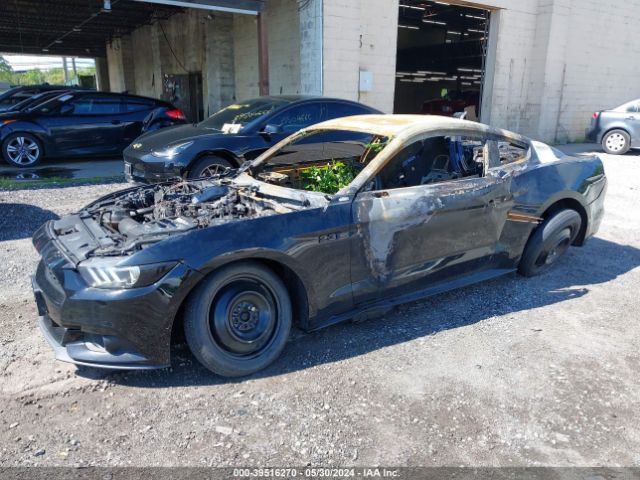 Photo 1 VIN: 1FA6P8TH4F5316072 - FORD MUSTANG 