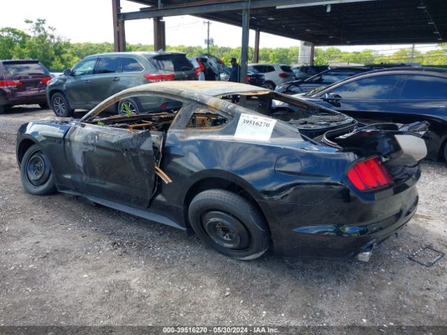 Photo 2 VIN: 1FA6P8TH4F5316072 - FORD MUSTANG 