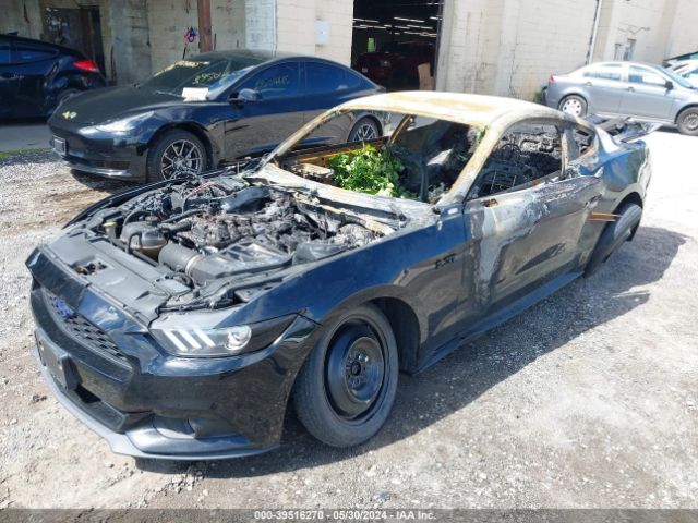 Photo 5 VIN: 1FA6P8TH4F5316072 - FORD MUSTANG 