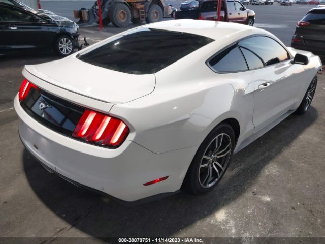 Photo 3 VIN: 1FA6P8TH4F5335494 - FORD MUSTANG 