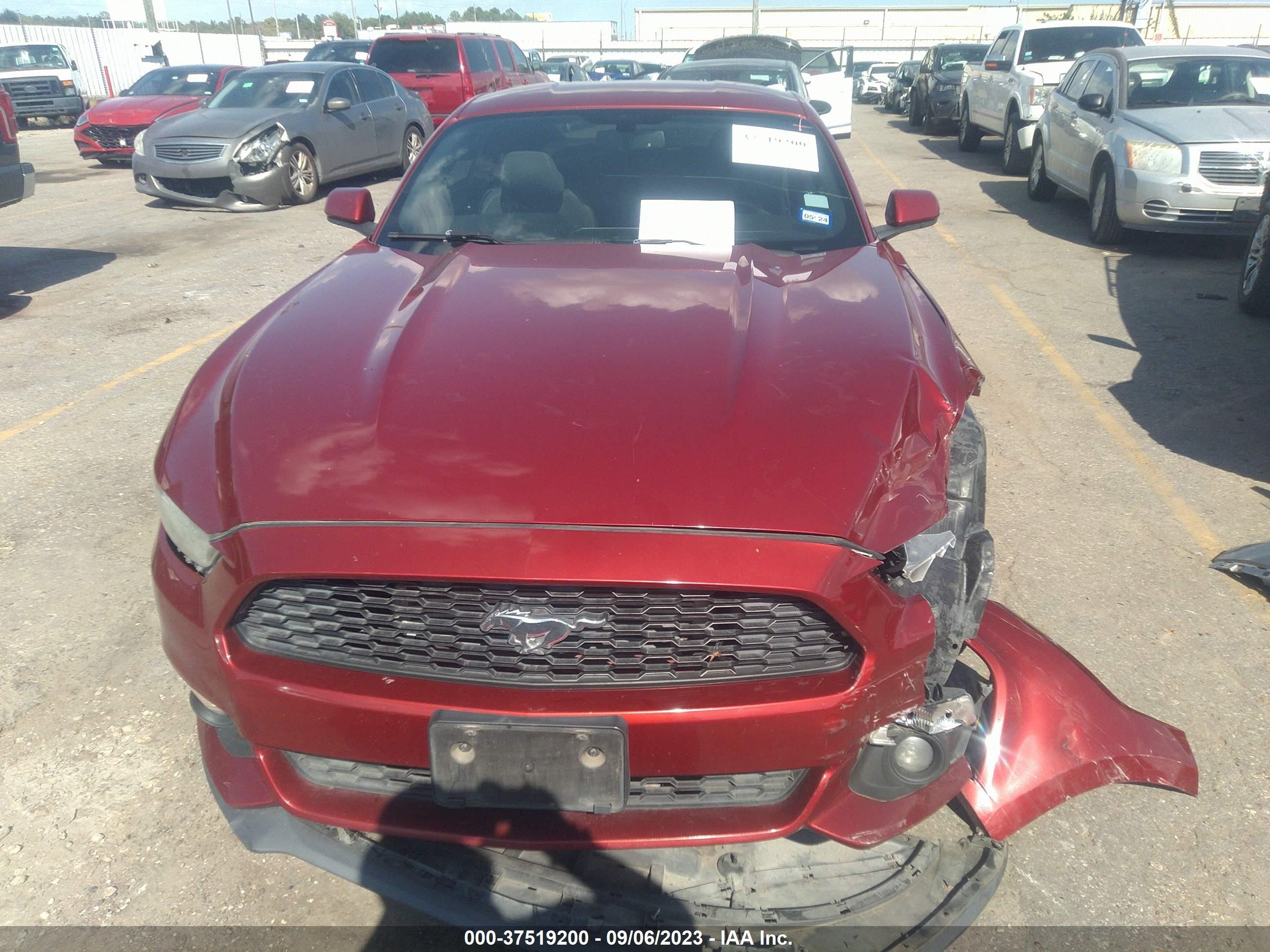 Photo 11 VIN: 1FA6P8TH4F5338301 - FORD MUSTANG 