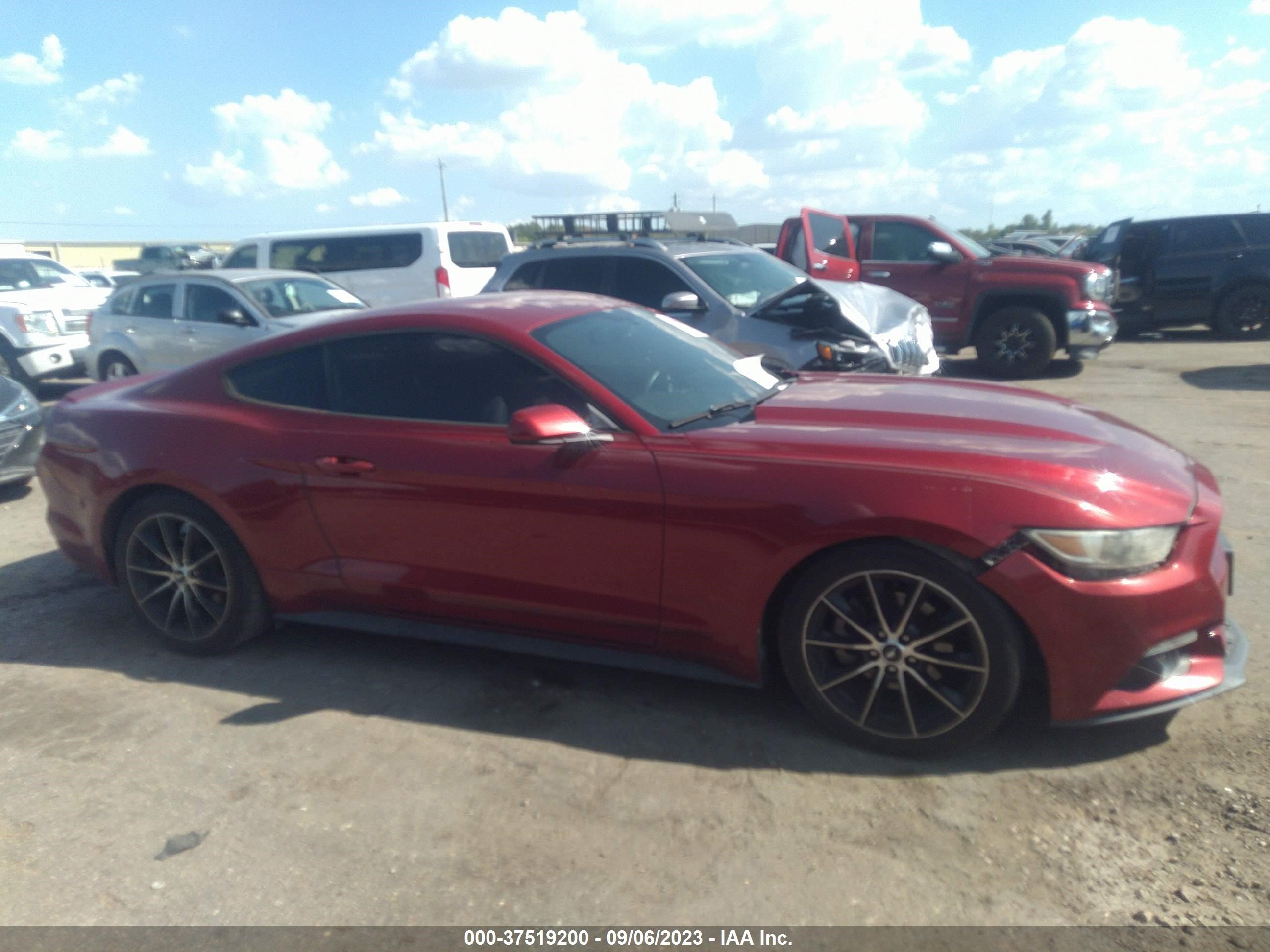 Photo 12 VIN: 1FA6P8TH4F5338301 - FORD MUSTANG 