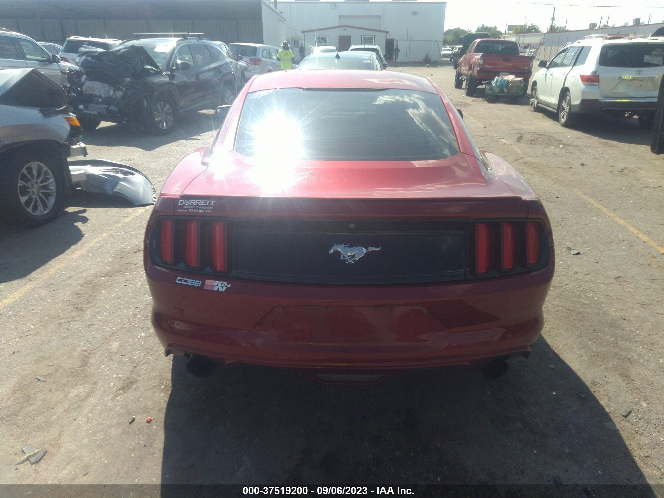 Photo 15 VIN: 1FA6P8TH4F5338301 - FORD MUSTANG 