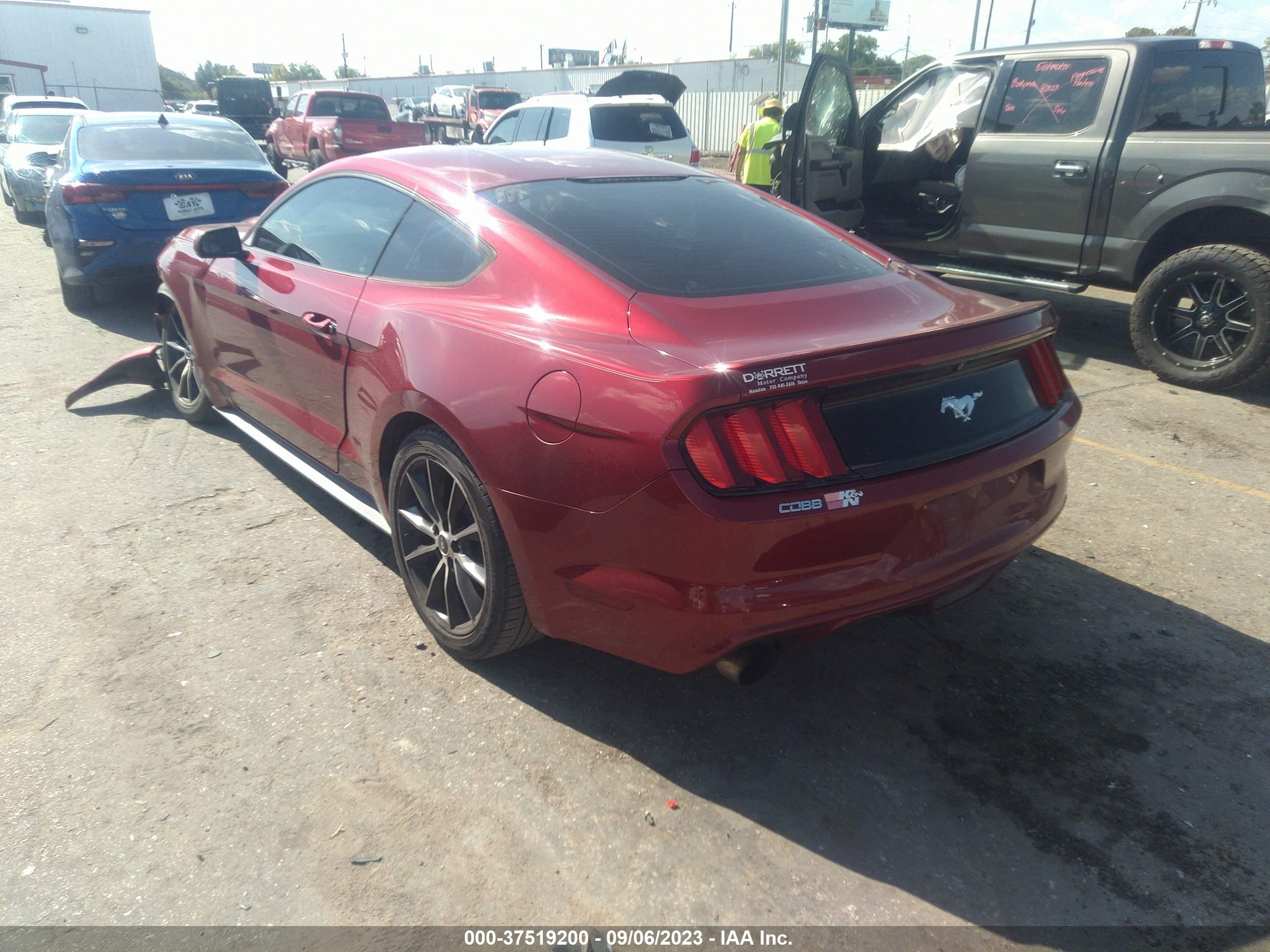 Photo 2 VIN: 1FA6P8TH4F5338301 - FORD MUSTANG 