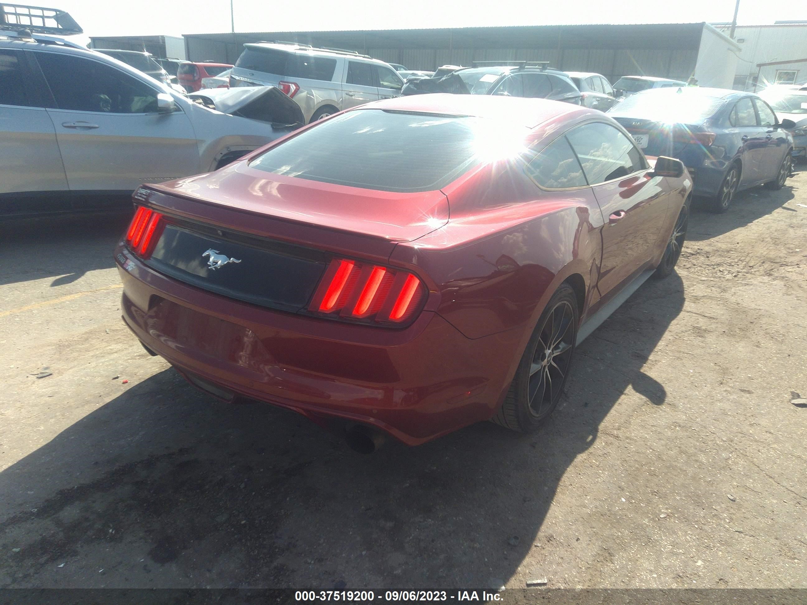 Photo 3 VIN: 1FA6P8TH4F5338301 - FORD MUSTANG 