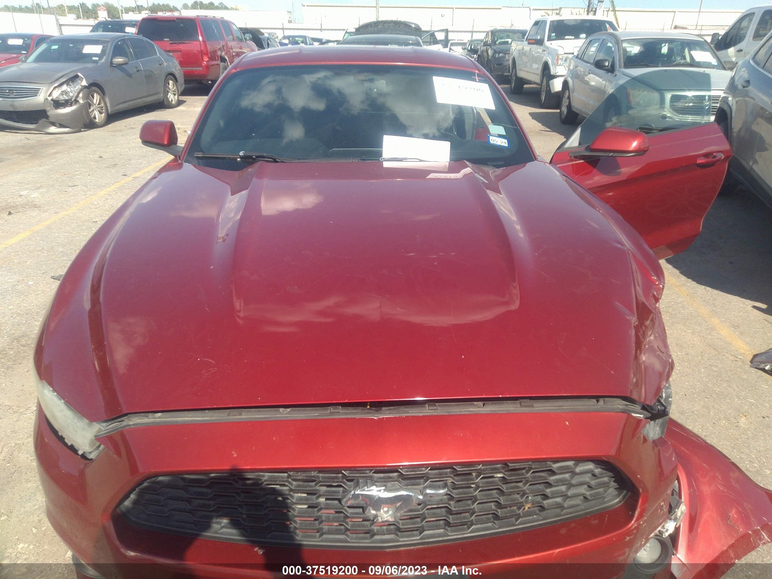 Photo 9 VIN: 1FA6P8TH4F5338301 - FORD MUSTANG 