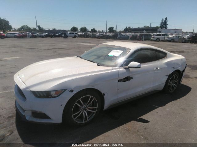 Photo 1 VIN: 1FA6P8TH4F5356541 - FORD MUSTANG 