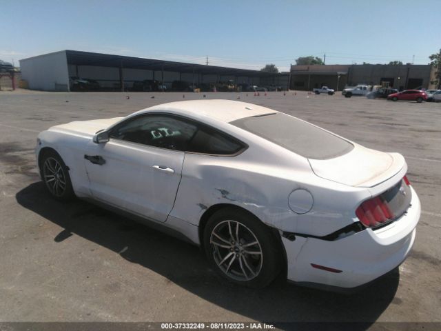 Photo 2 VIN: 1FA6P8TH4F5356541 - FORD MUSTANG 