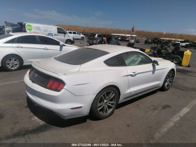 Photo 3 VIN: 1FA6P8TH4F5356541 - FORD MUSTANG 